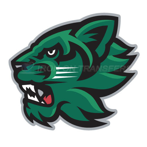 Binghamton Bearcats 2001 Pres Secondary Iron-on Stickers (Heat Transfers)NO.4005